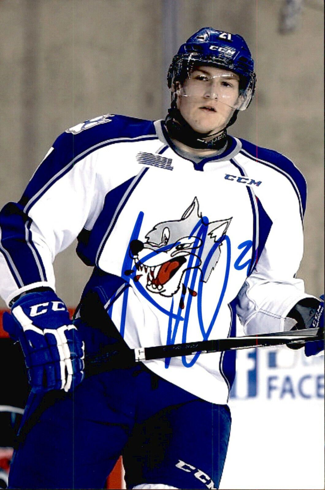 Pavel Jenys SIGNED 4x6 Photo Poster painting SUDBURY WOLVES / MINNESOTA WILD #2