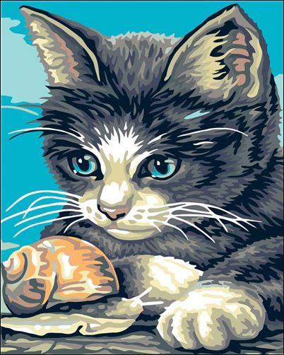 

Snail and Cat – Paint By Numbers - 40*50CM, 501 Original
