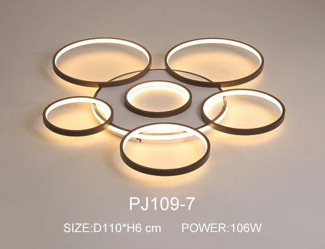 Modern LED Ceiling Lights Black Indoor Lighting Living Room Dining Room Kitchen Hotel Hanging Ceiling Lamp With Remote Control