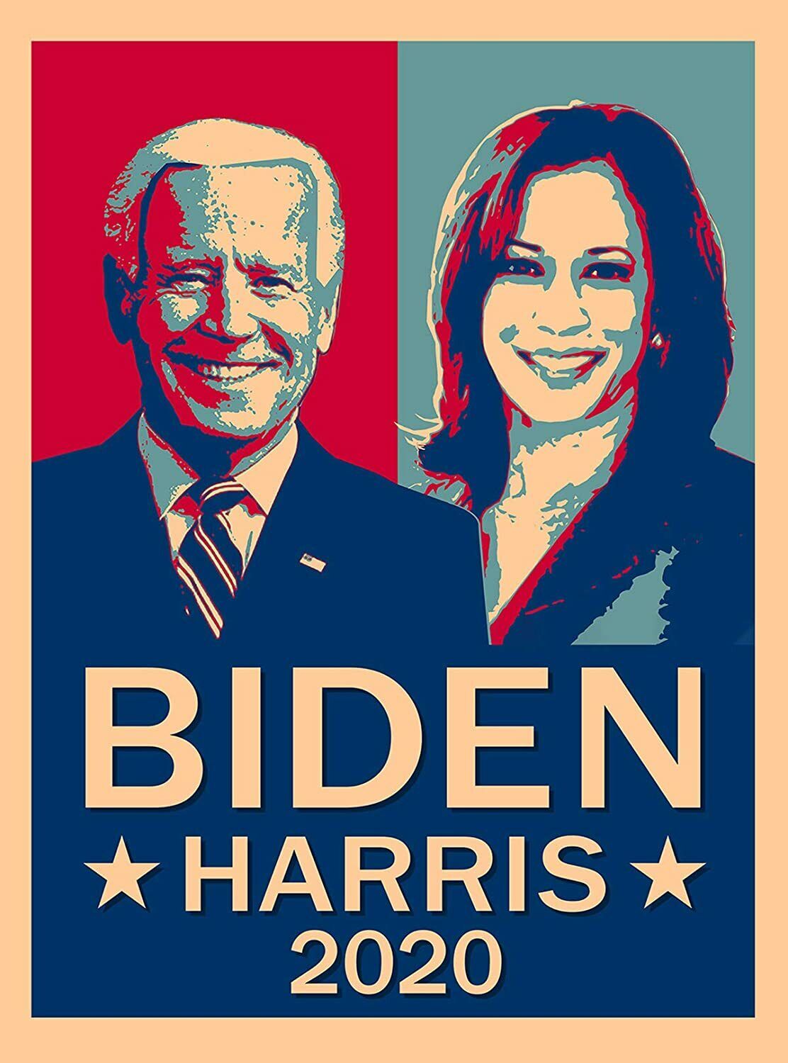 Joe Biden President Elect 2020 8x10 Photo Poster painting Vice Kamala Harris BRAND NEW