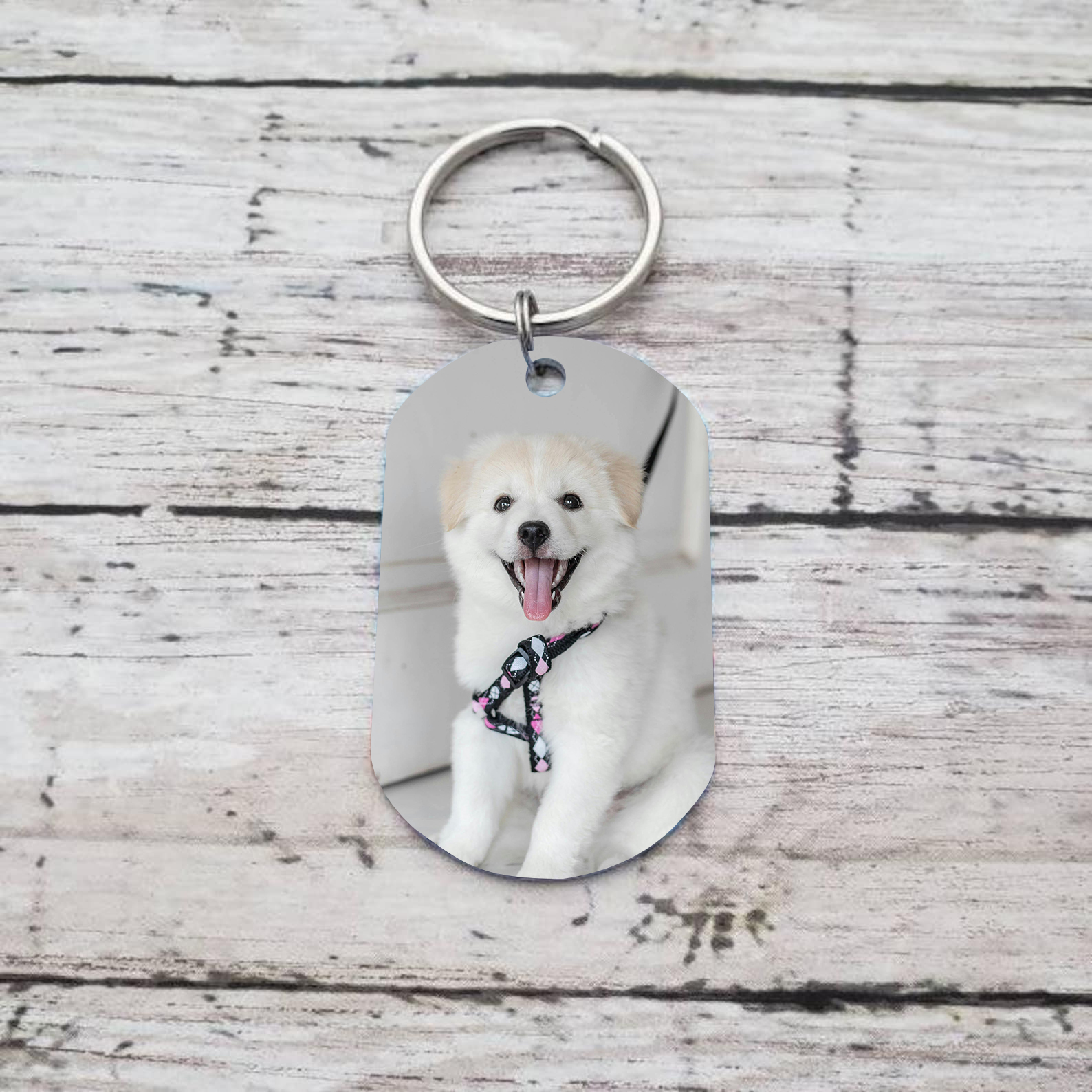 Personalised 2 Names & 1 Photo Keychain Custom Dog/Cat Paw Keychain Gift for Pet Lovers-Jessemade AU