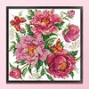 (Stamped/Counted) Peony Attracts Butterfly-14CT Cross Stitch 37*37cm/14.57*14.57in