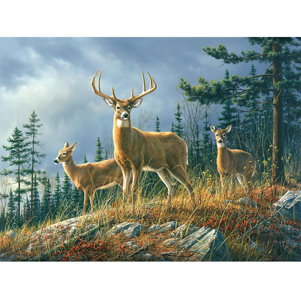 

Deer - Round Drill Diamond Painting - 30*40CM, 501 Original