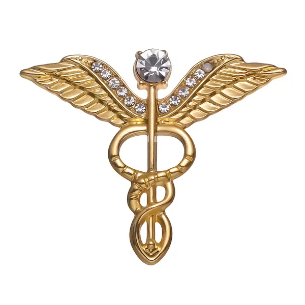 Foto del pin Corazón Médico Alado