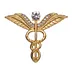 Winged Medical Heart