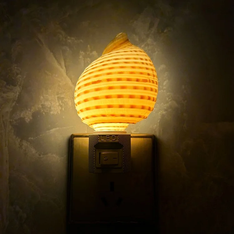 LED Conch Plug