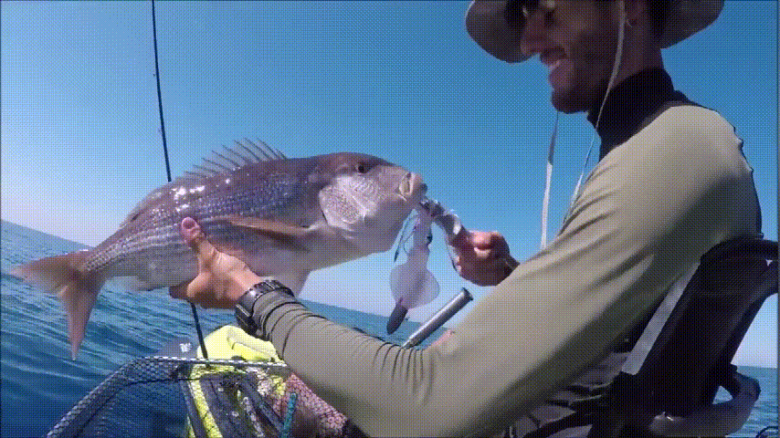 Lilybady Squid Luminous Lure