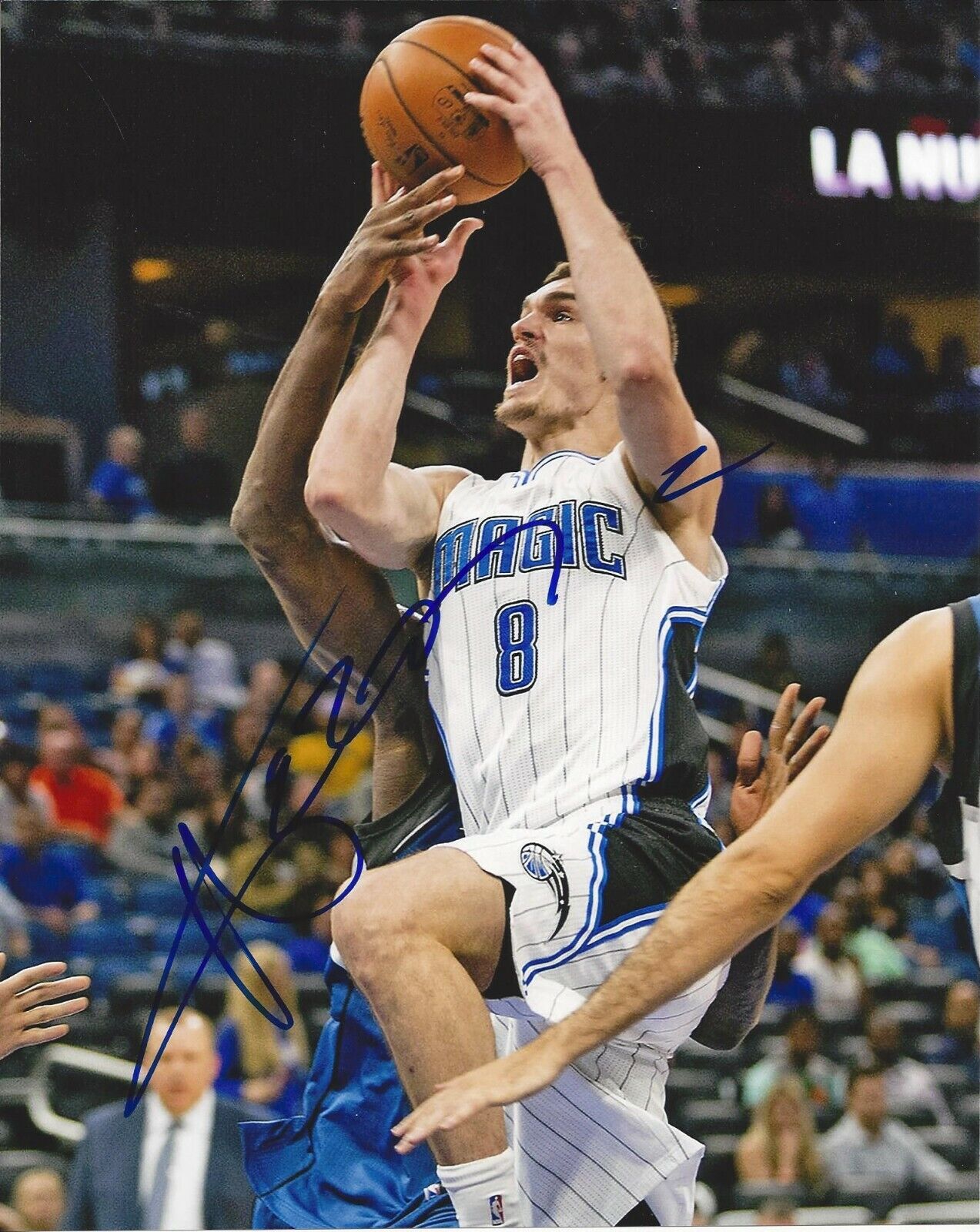 Mario Hezonja autographed 8x10 Orlando Magic#S391