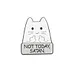 Gato No Hoy