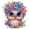 6Pack Owls-Crystal Rhinestone Diamond Painting(30x30cm)