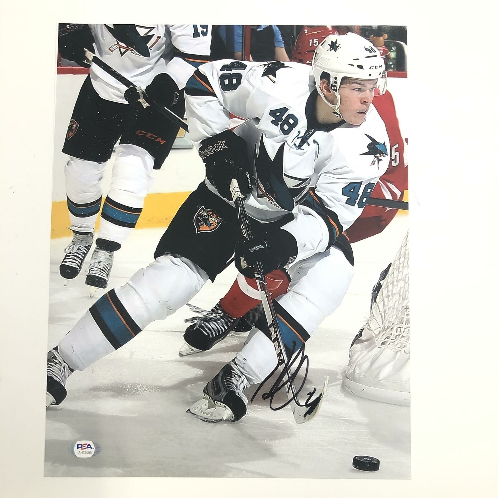 Tomas Hertl signed 11x14 Photo Poster painting PSA/DNA San Jose Sharks Autographed