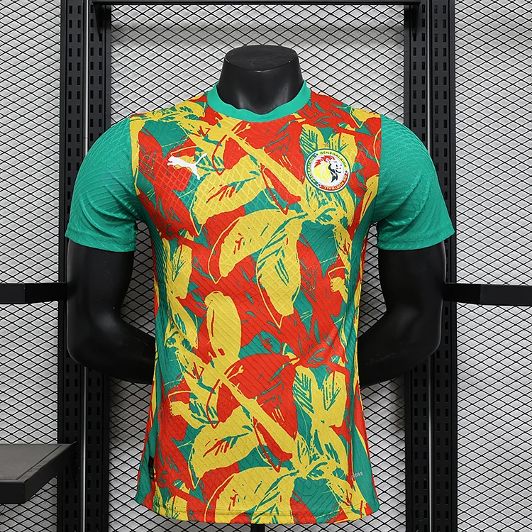 2024 Player Edition Senegal Pre-match Football Jersey