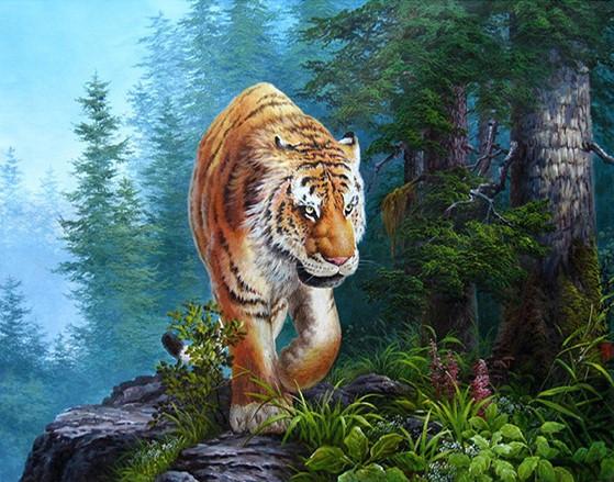 

Siberian Tiger – Paint By Numbers - 40*50CM, 501 Original