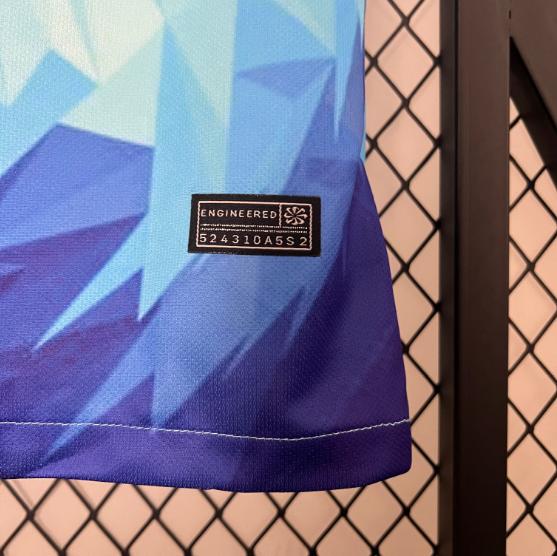 2024 Netherlands Special Edition Football Shirt Thai Quality