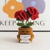 (Finished Product)Crochet Flower Potted Doll with Positive Card Desktop Ornaments, Potted Plants, Bouquets Gift Home Decor