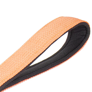 dog harness and leash