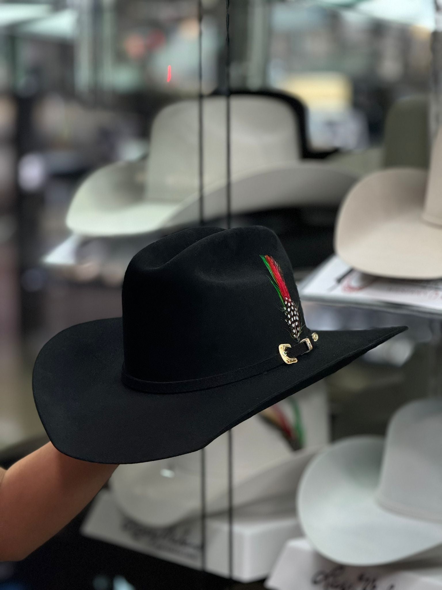 LA CORONA BLACK