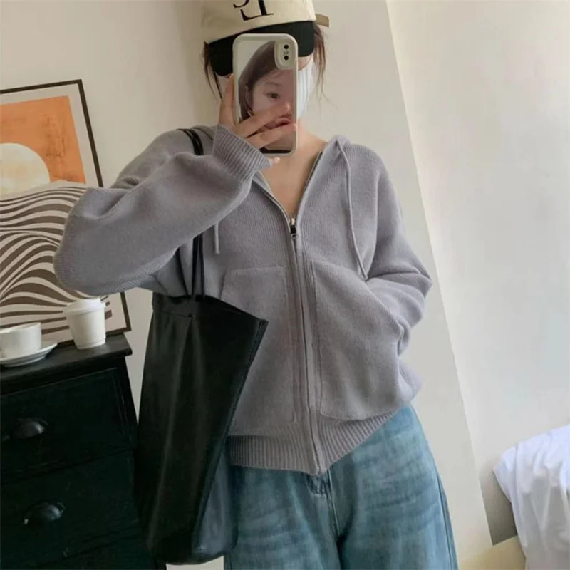 Toloer Toloer 2024 New Hoodie Loose Korean Knit Top-Outfit Ideas