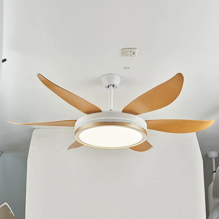 Haydn 6-blade ceiling fan with lighting, 2 colors, &empty;130CM