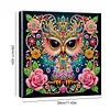 Diamond Painting-DIY Special Shaped Drill Rose Surrounded Mandala Owl with Frame(29x29cm)