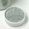 1 lb Bottle | Nontoxic Silver DIY Arts and Crafts Extra Fine Glitter