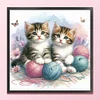 Kitten - 11CT Stamped Cross Stitch - 40*40cm - Cat