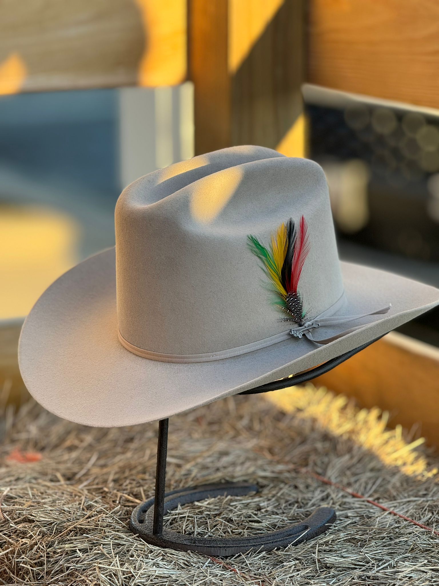 Rancher 6X Silver belly