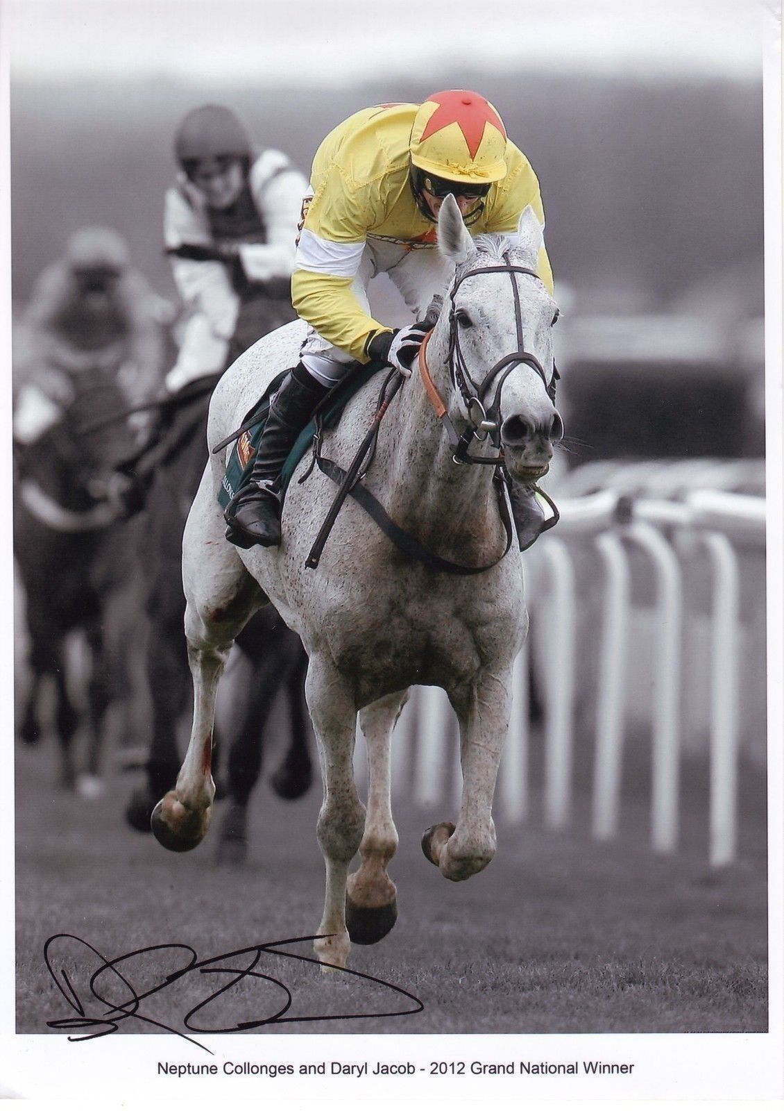 DARYL JACOB - NEPTUNE COLLONGES AUTOGRAPH SIGNED PP Photo Poster painting POSTER