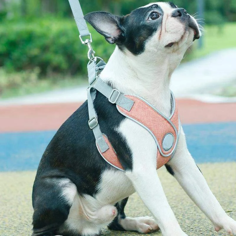 Breathable Reflective Vest-Type Traction Pet Rope