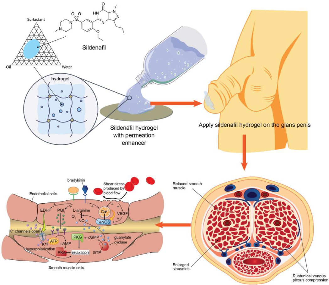 Tvorba jednostránkových webových stránek na dobírku, kontaktní údaje: 494906791 / WeChat: Cod_web