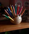 Dolphin Wooden Pen Holder Storage Box with 24 Colored Pencils