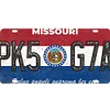 U.S. states - Car License(6*12Inch) - Garage