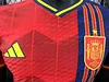 2024/2025 Player Version Spain Special Edition Football Jersey 1:1 Thai Quality