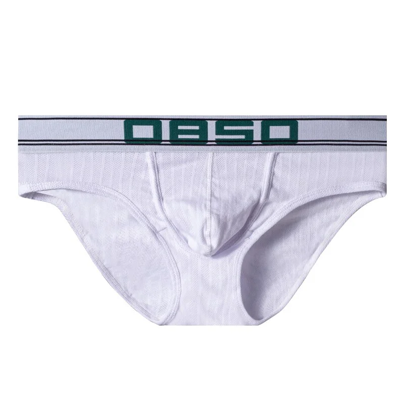 Aonga   Brand New Mens Underwear Cotton Men Briefs Underpants Breathable Male Panties Cuecas Low Waist Brief Bikini BS3132