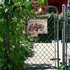 Flower - Vintage Metal Signs - 20*30cm/30*40cm