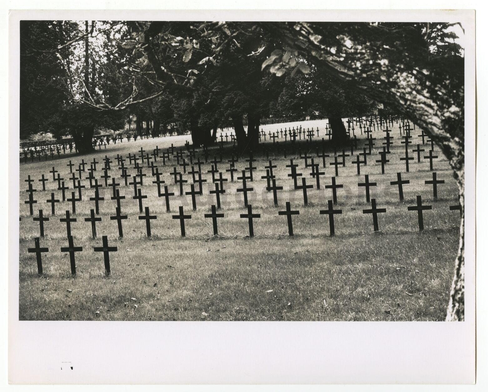 World War I - Vintage 8x10 Publication Photo Poster paintinggraph - Military Cemetery