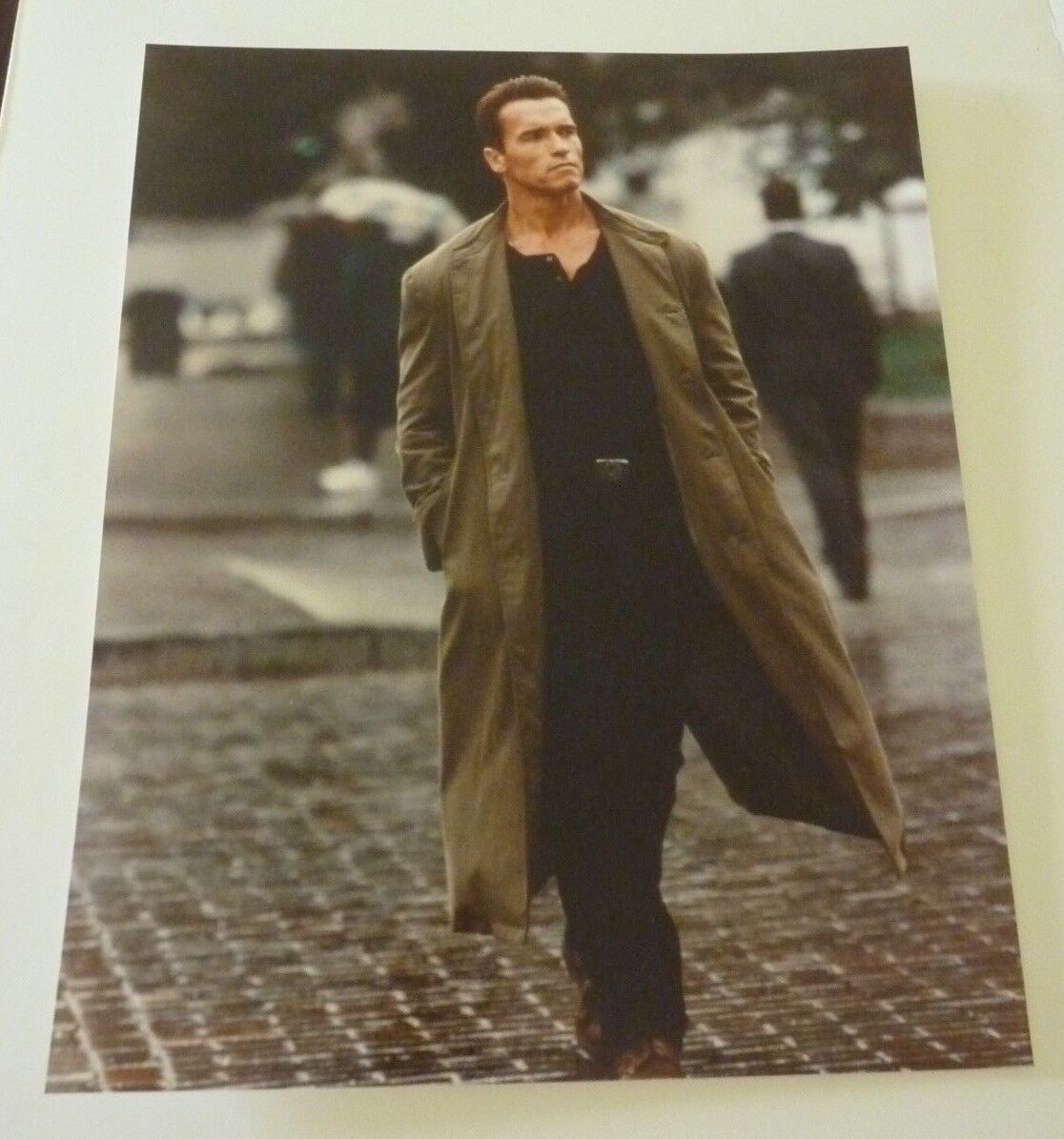 Arnold Schwarzenegger Movie Actor Sexy 8x10 Color Promo Photo Poster painting