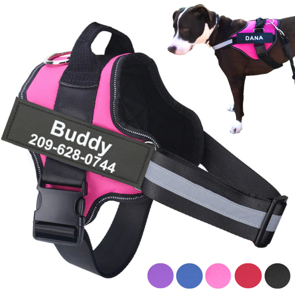 Best Custom Dog Harness No Pull Harnesses With Handle Personalized Name Tag