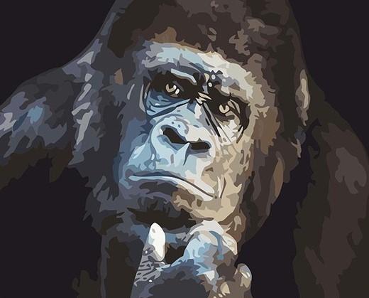 

Gorilla – Paint By Numbers - 40*50CM, 501 Original