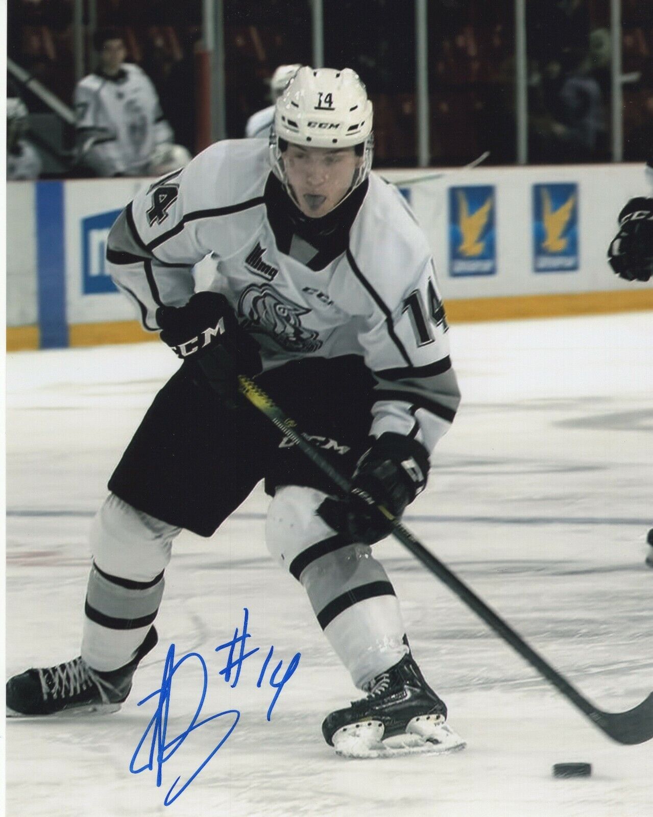 ZACH DEAN SIGNED AUTOGRAPH GATINEAU OLYMPIQUES 8X10 Photo Poster painting VEGAS GOLDEN KNIGHTS