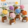 (Finished Product)Crochet Flower Potted Doll with Positive Card Desktop Ornaments, Potted Plants, Bouquets Gift Home Decor