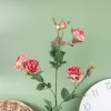 6 Heads Camellia Rose Artificial Flower