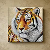Framed Diamond Painting - Special Shaped - Tiger(25x25cm)