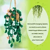Hanging Potted Plants Crochet Kit, Crochet Starter Kit with Step-by-Step Instructions and Video Tutorials, DIY Knitting Kit for Adults, Starter Present