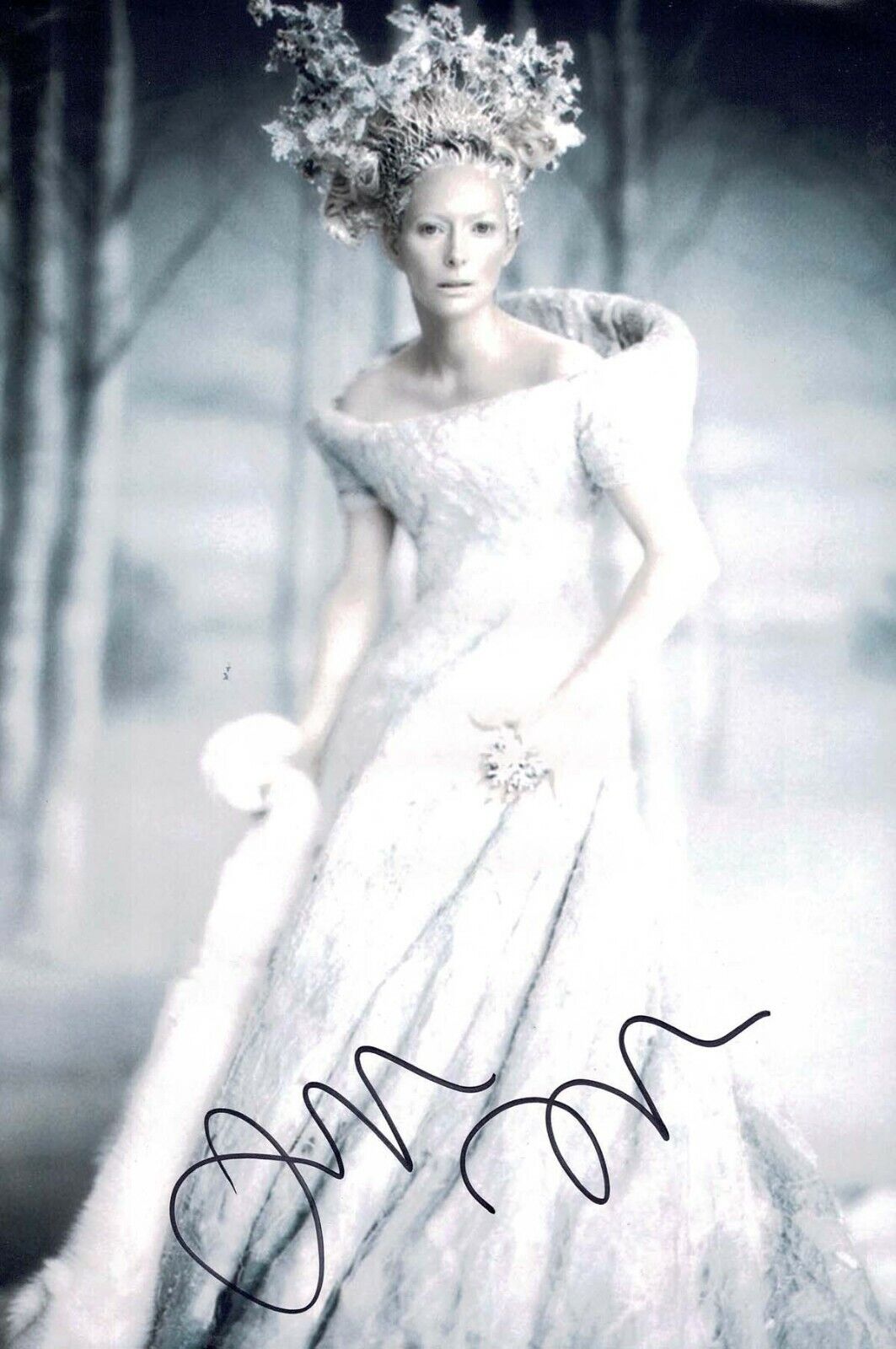 Tilda SWINTON SIGNED Autograph 12x8 Photo Poster painting White Witch Narnia Actress AFTAL COA