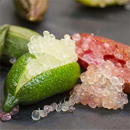 Last Day Promotion 70% OFF🌸Finger Lime Seeds Lemon Caviar Seeds (98% Germination)⚡Buy 2 Get Free Shipping