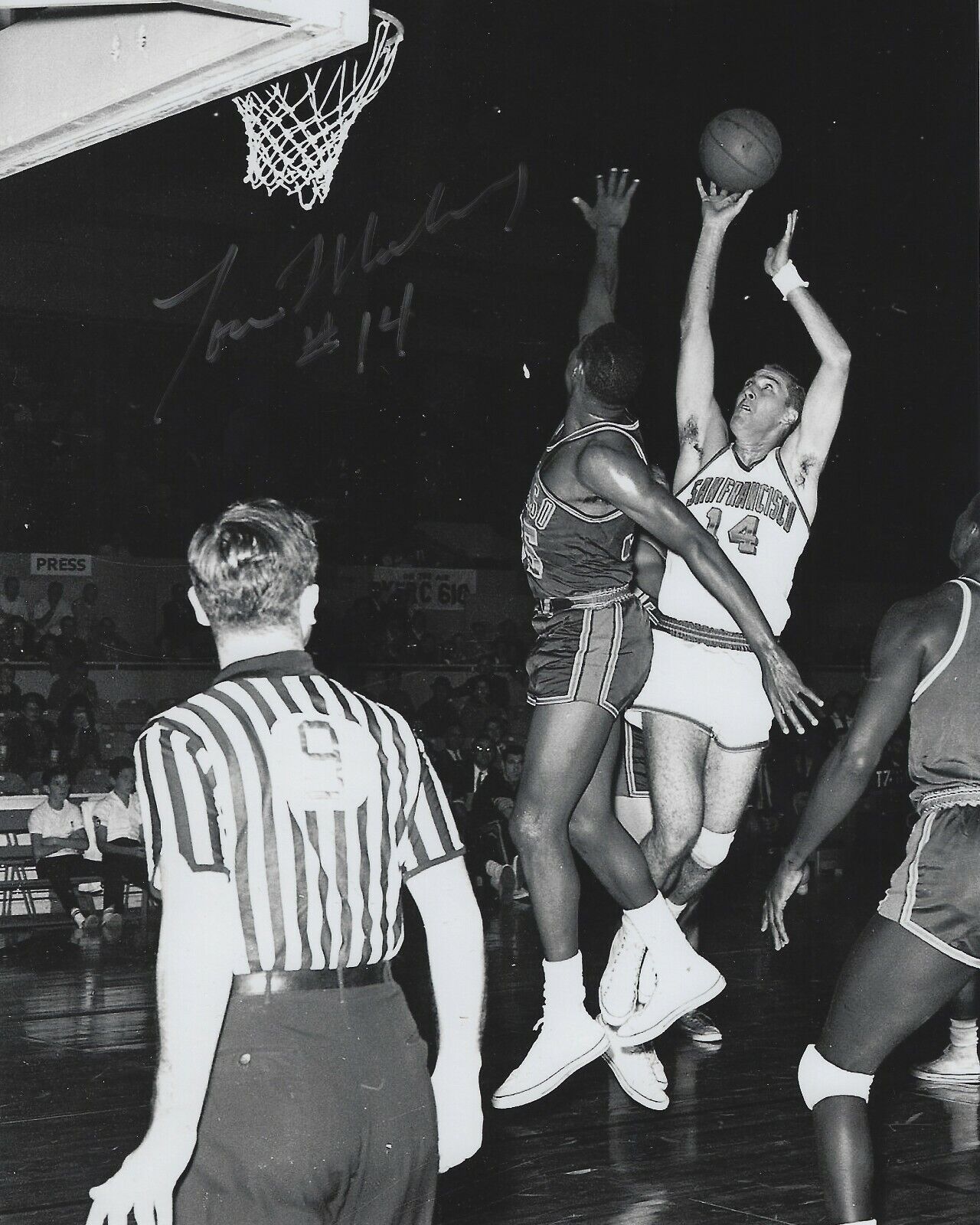 Signed 8x10 TOM MESCHERY San Francisco Warriors Autographed Photo Poster painting - w/COA