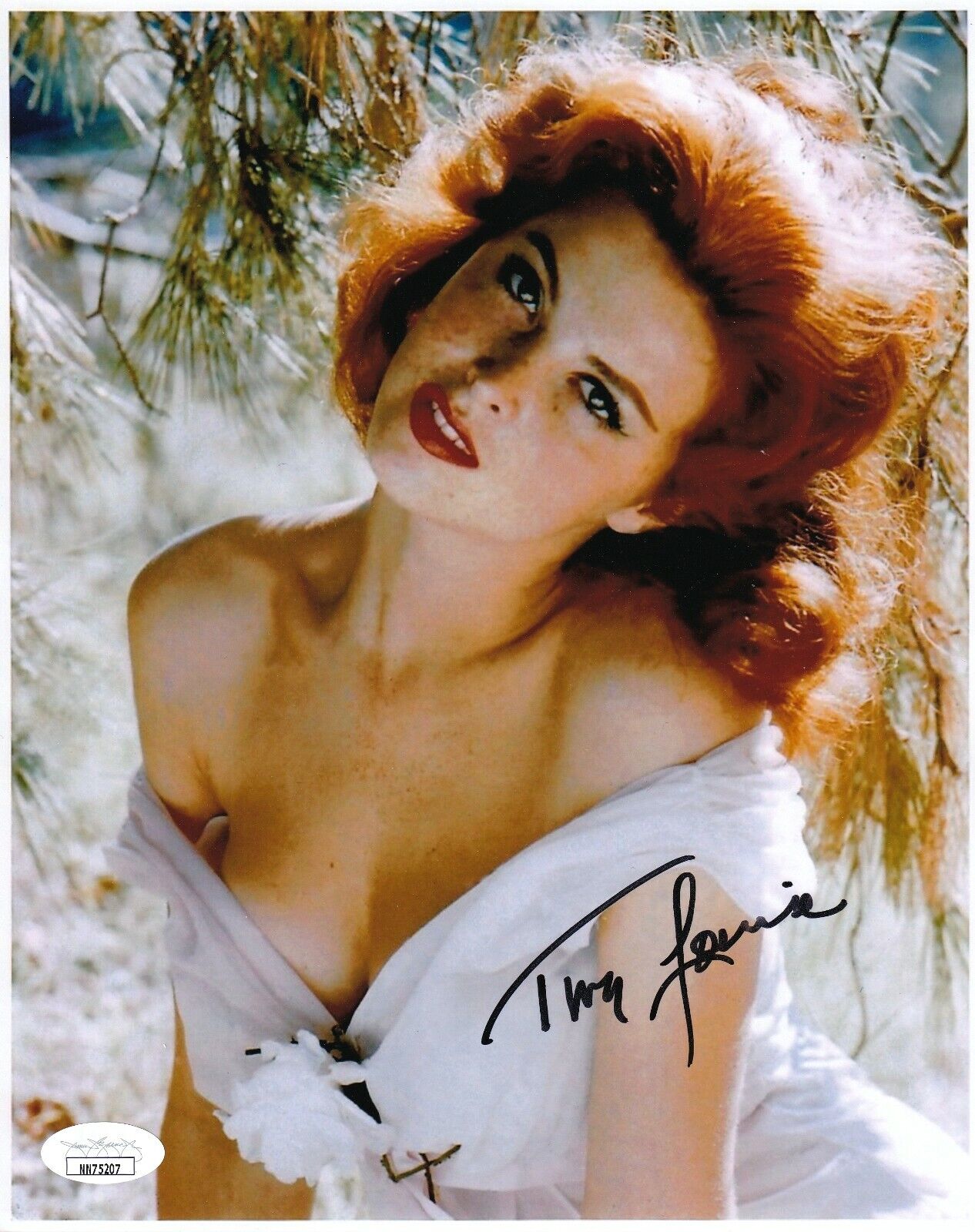 Tina Louise REAL hand SINGED Photo Poster painting #1 JSA COA Ginger on Gilligan's Island