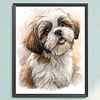 Shih Tzu Dog-11CT Stamped Cross Stitch 40*50cm/15.75*19.69in
