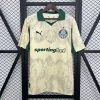 25/26 Palmeiras Soccer Jersey Second Away